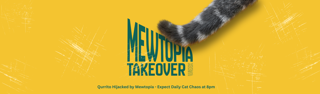 Mewtopia Takeover Week banner with cat tail on yellow background, announcing Qurrito’s daily 8 PM cat-themed content and campaign update.