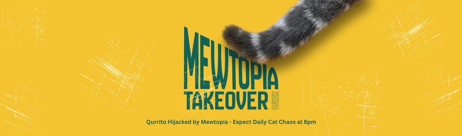 Mewtopia Takeover Week banner with cat tail on yellow background, announcing Qurrito’s daily 8 PM cat-themed content and campaign update.